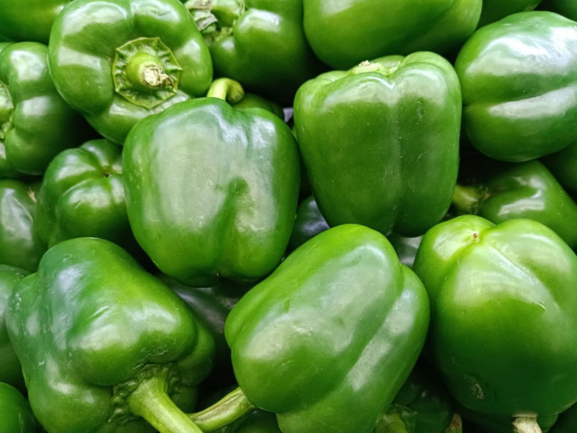 Capsicum RVM Global Exports