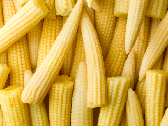 Sweet & Baby Corn RVM Global Exports
