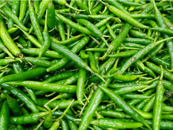 Green Chilli RVM Global Exports